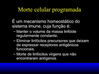 Morte celular programada
É um mecanismo homeostático do
sistema imune, cuja função é:
– Manter o volume da massa linfóide
regularmente constante.
– Eliminar linfócitos precursores que deixam
de expressar receptores antigênicos
funcionais.
– Morte de linfócitos virgens que não
encontraram antígenos.
 