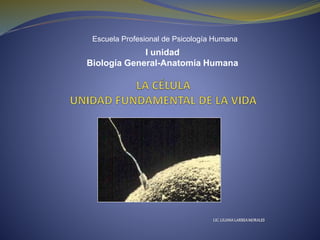 I unidad
Biología General-Anatomía Humana
LIC.LILIANALARREAMORALES
Escuela Profesional de Psicología Humana
 