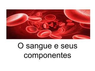 O sangue e seus
componentes
 