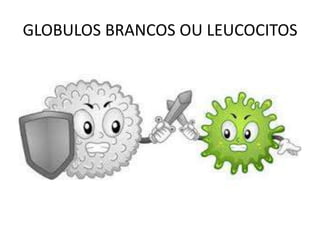 GLOBULOS BRANCOS OU LEUCOCITOS
 