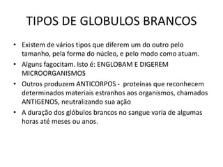 TIPOS DE GLOBULOS BRANCOS
• Existem de vários tipos que diferem um do outro pelo
tamanho, pela forma do núcleo, e pelo modo como atuam.
• Alguns fagocitam. Isto é: ENGLOBAM E DIGEREM
MICROORGANISMOS
• Outros produzem ANTICORPOS - proteínas que reconhecem
determinados materiais estranhos aos organismos, chamados
ANTIGENOS, neutralizando sua ação
• A duração dos glóbulos brancos no sangue varia de algumas
horas até meses ou anos.
 