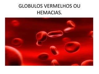 GLOBULOS VERMELHOS OU
HEMACIAS.
 