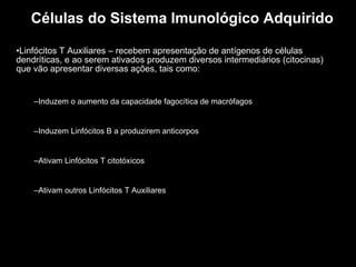 Células do Sistema Imunológico Adquirido Linfócitos T Auxiliares – recebem apresentação de antígenos de células dendríticas, e ao serem ativados produzem diversos intermediários (citocinas) que vão apresentar diversas ações, tais como: Induzem o aumento da capacidade fagocítica de macrófagos Induzem Linfócitos B a produzirem anticorpos Ativam Linfócitos T citotóxicos Ativam outros Linfócitos T Auxiliares 