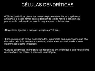CÉLULAS DENDRÍTICAS Células dendríticas presentes no tecido podem reconhecer e aprisionar antígenos, e dessa forma irão se desligar do tecido nativo e concluir seu processo de maturação, enquanto migram para os linfonodos. Receptores ligantes a manose, receptores Toll like...  Essas células vão então, nos linfonodos, juntamente com os antígeno que são drenados pela linfa num estado solúvel, iniciar a resposta adquirida a esse detemrinado agente infeccioso. Células dendríticas interdigitais são residentes em linfonodos e são vistas como responsáveis por manter a memória imunológica. 
