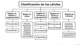FABRIKAM
FABRIKAM 10
 
