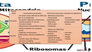 FABRIKAM 5
Tipo de
célula Características principales Estructuras que poseen Ejemplos de organismos
Procariota
- No tienen núcleo definido (el ADN está
libre en el citoplasma).
- No poseen orgánulos membranosos.
- Tamaño pequeño (1–10 µm).
- Estructura simple.
- Reproducción asexual (fisión binaria).
- Membrana plasmática
- Pared celular
(peptidoglucano)
- Ribosomas
- ADN circular
- Citoplasma
- Bacterias
- Cianobacterias (algas
verdeazuladas)
- Arqueas
Eucariota
- Núcleo verdadero con envoltura
nuclear.
- Orgánulos membranosos
(mitocondrias, retículo endoplásmico,
etc.).
- Tamaño mayor (10–100 µm).
- Estructura compleja.
- Reproducción sexual y asexual.
- Núcleo con ADN lineal
- Mitocondrias
- Retículo
endoplásmico
- Aparato de Golgi
- Lisosomas, vacuolas
- Citoesqueleto
- Animales
- Plantas
- Hongos
- Protista
 