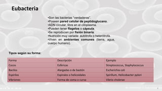 FABRIKAM 6
Forma Descripción Ejemplo
Cocos Esféricas Streptococcus, Staphylococcus
Bacilos Alargadas o de bastón Escherichia coli
Espirilos Espirales o helicoidales Spirillum, Helicobacter pylori
Vibriones Forma de coma o curva Vibrio cholerae
•Son las bacterias “verdaderas”.
•Poseen pared celular de peptidoglucano.
•ADN circular, libre en el citoplasma.
•Pueden tener flagelos o cápsula.
•Se reproducen por fisión binaria.
•Nutrición muy variada: autótrofa o heterótrofa.
•Viven en ambientes comunes (tierra, agua,
cuerpo humano).
Tipos según su forma:
Eubacteria
 