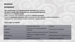 FABRIKAM 7
Tipo Ambiente donde viven Ejemplo
Termófilas
Ambientes muy calientes (géiseres,
volcanes)
Thermococcus, Pyrolobus
Halófilas Lugares con alta concentración de sal Halobacterium
Metanógenas
Ambientes sin oxígeno; producen
metano
Methanobacterium, Methanococcus
Acidófilas Ambientes muy ácidos Sulfolobus acidocaldarius
•Son procariotas, pero genéticamente distintas a las bacterias.
•Su pared celular está compuesta por pseudopeptidoglucano.
•Membrana con lípidos únicos.
•ADN y enzimas más parecidos a los de las células eucariotas.
•Viven en ambientes extremos (altas temperaturas, alta salinidad, acidez o alcalinidad).
•Reproducción asexual (fisión binaria, gemación o fragmentación).
Tipos según su hábitat:
Archeas
(arqueas)
 