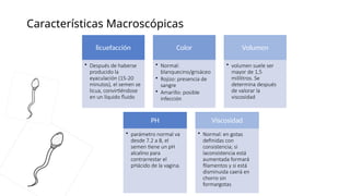 Características Macroscópicas
licuefacción
• Después de haberse
producido la
eyaculación (15-20
minutos), el semen se
licua, convirtiéndose
en un líquido fluido
Color
• Normal:
blanquecino/grisáceo
• Rojizo: presencia de
sangre
• Amarillo: posible
infección
Volumen
• volumen suele ser
mayor de 1,5
mililitros. Se
determina después
de valorar la
viscosidad
PH
• parámetro normal va
desde 7.2 a 8, el
semen tiene un pH
alcalino para
contrarrestar el
pHácido de la vagina.
Viscosidad
• Normal: en gotas
definidas con
consistencia; si
laconsistencia está
aumentada formará
filamentos y si está
disminuida caerá en
chorro sin
formargotas
 
