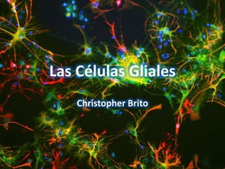 Las Células Gliales
Christopher Brito
 