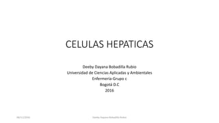 CELULAS HEPATICAS
Deeby Dayana Bobadilla Rubio
Universidad de Ciencias Aplicadas y Ambientales
Enfermería-Grupo c
Bogotá D.C
2016
06/11/2016 Deeby Dayana Bobadilla Rubio
 
