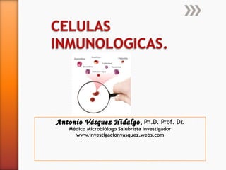 Antonio VVáássqquueezz HHiiddaallggoo,, Ph.D. Prof. Dr. 
Médico Microbiólogo Salubrista Investigador 
www.investigacionvasquez.webs.com 
 