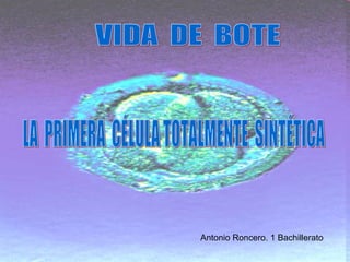 Antonio Roncero. 1 Bachillerato VIDA  DE  BOTE LA  PRIMERA  CÉLULA TOTALMENTE  SINTÉTICA 