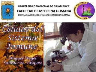 Células del Sistema Inmune Miguel Angel  Santacruz Vásquez 