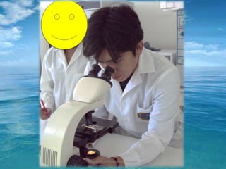 Miguel Angel Santacruz Vásquez