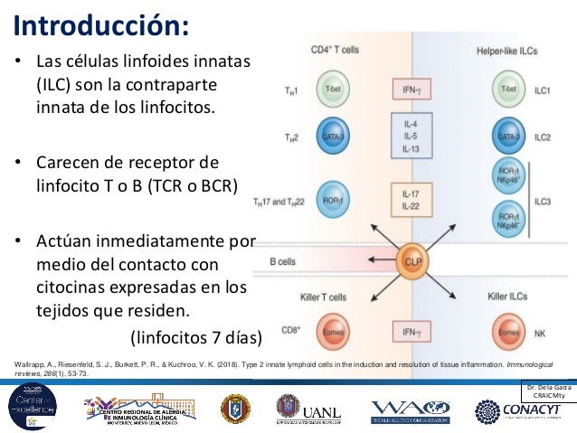 Células linfoides innatas Sesión Académica del CRAIC
