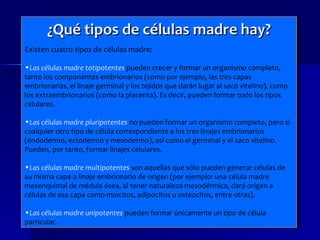 ¿Qué tipos de células madre hay? Existen cuatro tipos de células madre: Las células madre totipotentes   pueden crecer y formar un organismo completo, tanto los componentes embrionarios (como por ejemplo, las tres capas embrionarias, el linaje germinal y los tejidos que darán lugar al saco vitelino), como los extraembrionarios (como la placenta). Es decir, pueden formar todo los tipos celulares. Las células madre pluripotentes   no pueden formar un organismo completo, pero sí cualquier otro tipo de célula correspondiente a los tres linajes embrionarios (endodermo, ectodermo y mesodermo), así como el germinal y el saco vitelino. Pueden, por tanto, formar linajes celulares. Las células madre multipotentes   son aquellas que sólo pueden generar células de su misma capa o linaje embrionario de origen (por ejemplo: una célula madre mesenquimal de médula ósea, al tener naturaleza mesodérmica, dará origen a células de esa capa como miocitos, adipocitos u osteocitos, entre otras). Las células madre unipotentes   pueden formar únicamente un tipo de célula particular. 