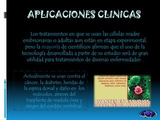 APLICACIONES CLINICAS
    Los tratamientos en que se usan las células madre
 embrionarias o adultas aun están en etapa experimental,
  pero la mayoría de científicos afirman que el uso de la
tecnología desarrollada a partir de su estudio será de gran
   utilidad para tratamientos de diversas enfermedades .


Actualmente se usan contra el
cáncer, la diabetes, heridas de
la espina dorsal y daño en los
     músculos, atreves del
 trasplante de medula ósea y
 sangre del cordón umbilical.
 