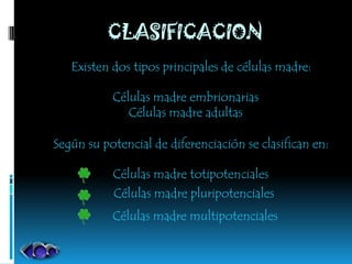 CLASIFICACION
   Existen dos tipos principales de células madre:

           Células madre embrionarias
              Células madre adultas

Según su potencial de diferenciación se clasifican en:

           Células madre totipotenciales
           Células madre pluripotenciales
           Células madre multipotenciales
 