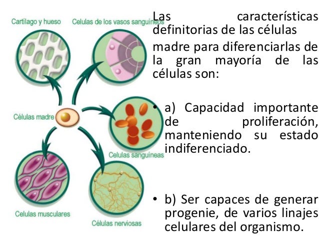 Las mejores clínicas por el tratamiento del alcoholismo
