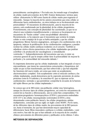potencialmente carcinogénicas.28
Por todo esto, ha tomado auge el trasplante
de células madre provenientes de la MO. Existen limitaciones teóricas para
utilizar clínicamente la MO como fuente de células madre para regenerar el
miocardio. Aunque la mayoría de los autores encuentran que estas células se
diferencian hacia cardiomiocitos, en otros trabajos no se ha demostrado esta
potencialidad.29
El mecanismo de diferenciación, para la mayoría de los
autores, está condicionado por la plasticidad de las células progenitoras.
Posteriormente, este concepto de plasticidad fue cuestionado, ya que no se
observó una verdadera transdiferenciación y entonces se ha propuesto un
mecanismo de “fusión celular” como una posibilidad alternativa.
Recientemente, se ha expuesto que el mecanismo que sostiene la terapia
celular es más complejo de lo que se había anticipado y que las células
progenitoras liberan factores angiogénicos, protegen a los cardiomiocitos de la
apoptosis, inducen la proliferación de los cardiomiocitos endógenos y pueden
reclutar las células madre cardíacas residentes en el corazón. También se
adjudican ciertos efectos paracrínicos a las células implantadas que podrían
contribuir a la producción de vasculogénesis y remodelación
ventricular.30,31
Independientemente del mecanismo que sea, sí existe un
consenso general de que la terapia celular tiene la potencialidad de mejorar la
perfusión y la contractilidad del miocardio dañado.32
Es importante demostrar que las células implantadas se han integrado al nuevo
microambiente, que tienen las características estructurales y bioquímicas del
tejido en que se han transformado, que han sobrevivido y que han adquirido
las funciones del nuevo tejido, así como que existe un acoplamiento
electromecánico completo. Este acoplamiento entre el músculo cardíaco y las
células implantadas, puede demostrarse por la expresión persistente de ciertas
proteínas como la N-caderina y la conectina-43, que se expresan en los
cardiomiocitos normales y que permitirían comprobar la invasión de la barrera
del tejido fibroso por las células implantadas.33
Se conoce que en la MO existe una población celular muy heterogénea,
aunque los diversos tipos de células progenitoras, así como los mecanismos de
control de su función y diferenciación, aún no están bien comprendidos.34
Se
encuentran progenitores hematopoyéticos (CD34+), precursores endoteliales
(CD 133+), las células mesenquimales (estromales) (CD34-), otras
denominadas como población lateral y las células progenitoras adultas
multipotentes, conocidas por sus siglas en inglés como MAPC. Por lo tanto,
de los diferentes tipos de células madre, las provenientes de la MO parecen
ser, hasta el momento, las que han demostrado mayor capacidad de
diferenciarse hacia fibras musculares cardíacas o a células endoteliales, y por
este motivo, han sido las que se han utilizado en la mayoría de los estudios
clínicos provenientes de diferentes países y publicados en los últimos 3 años.
MÉTODOS DE SEPARACIÓN
 