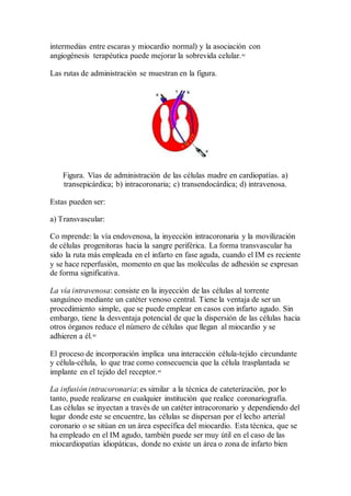 intermedias entre escaras y miocardio normal) y la asociación con
angiogénesis terapéutica puede mejorar la sobrevida celular.41
Las rutas de administración se muestran en la figura.
Figura. Vías de administración de las células madre en cardiopatías. a)
transepicárdica; b) intracoronaria; c) transendocárdica; d) intravenosa.
Estas pueden ser:
a) Transvascular:
Co mprende: la vía endovenosa, la inyección intracoronaria y la movilización
de células progenitoras hacia la sangre periférica. La forma transvascular ha
sido la ruta más empleada en el infarto en fase aguda, cuando el IM es reciente
y se hace reperfusión, momento en que las moléculas de adhesión se expresan
de forma significativa.
La vía intravenosa: consiste en la inyección de las células al torrente
sanguíneo mediante un catéter venoso central. Tiene la ventaja de ser un
procedimiento simple, que se puede emplear en casos con infarto agudo. Sin
embargo, tiene la desventaja potencial de que la dispersión de las células hacia
otros órganos reduce el número de células que llegan al miocardio y se
adhieren a él.42
El proceso de incorporación implica una interacción célula-tejido circundante
y célula-célula, lo que trae como consecuencia que la célula trasplantada se
implante en el tejido del receptor.43
La infusión intracoronaria:es similar a la técnica de cateterización, por lo
tanto, puede realizarse en cualquier institución que realice coronariografía.
Las células se inyectan a través de un catéter intracoronario y dependiendo del
lugar donde este se encuentre, las células se dispersan por el lecho arterial
coronario o se sitúan en un área específica del miocardio. Esta técnica, que se
ha empleado en el IM agudo, también puede ser muy útil en el caso de las
miocardiopatías idiopáticas, donde no existe un área o zona de infarto bien
 