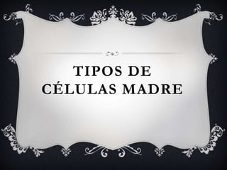 TIPOS DE
CÉLULAS MADRE
 