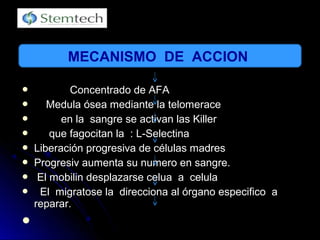  Concentrado de AFAConcentrado de AFA
 Medula ósea mediante la telomeraceMedula ósea mediante la telomerace
 en la sangre se activan las Killeren la sangre se activan las Killer
 que fagocitan la : L-Selectinaque fagocitan la : L-Selectina
 Liberación progresiva de células madresLiberación progresiva de células madres
 Progresiv aumenta su numero en sangre.Progresiv aumenta su numero en sangre.
 El mobilin desplazarse celua a celulaEl mobilin desplazarse celua a celula
 El migratose la direcciona al órgano especifico aEl migratose la direcciona al órgano especifico a
reparar.reparar.

MECANISMO DE ACCION
 