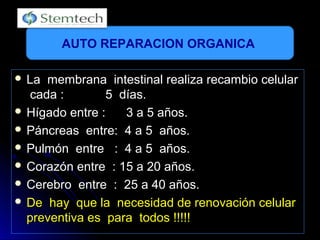  La membrana intestinal realiza recambio celularLa membrana intestinal realiza recambio celular
cada : 5 días.cada : 5 días.
 Hígado entre : 3 a 5 años.Hígado entre : 3 a 5 años.
 Páncreas entre: 4 a 5 años.Páncreas entre: 4 a 5 años.
 Pulmón entre : 4 a 5 años.Pulmón entre : 4 a 5 años.
 Corazón entre : 15 a 20 años.Corazón entre : 15 a 20 años.
 Cerebro entre : 25 a 40 años.Cerebro entre : 25 a 40 años.
 De hay que la necesidad de renovación celularDe hay que la necesidad de renovación celular
preventiva es para todos !!!!!preventiva es para todos !!!!!
AUTO REPARACION ORGANICA
 