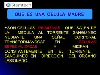 SON CELULASSON CELULAS PRIMITIVASPRIMITIVAS QUE SALEN DEQUE SALEN DE
LA MEDULA AL TORRENTE SANGUINEOLA MEDULA AL TORRENTE SANGUINEO
MEDIANTE UNA SEÑAL CORPORALMEDIANTE UNA SEÑAL CORPORAL
TRANSFORMANDOSE ENTRANSFORMANDOSE EN CELULASCELULAS
ESPECIALIZADASESPECIALIZADAS Y MIGRANY MIGRAN
CONSTANTEMENTE EN EL TORRENTECONSTANTEMENTE EN EL TORRENTE
SANGUINEO EN DIRECCION DEL ORGANOSANGUINEO EN DIRECCION DEL ORGANO
LESIONADO.LESIONADO.
QUE ES UNA CELULA MADRE
 