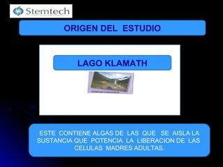 ORIGEN DEL ESTUDIO
LAGO KLAMATH
ESTE CONTIENE ALGAS DE LAS QUE SE AISLA LA
SUSTANCIA QUE POTENCIA LA LIBERACION DE LAS
CELULAS MADRES ADULTAS.
 