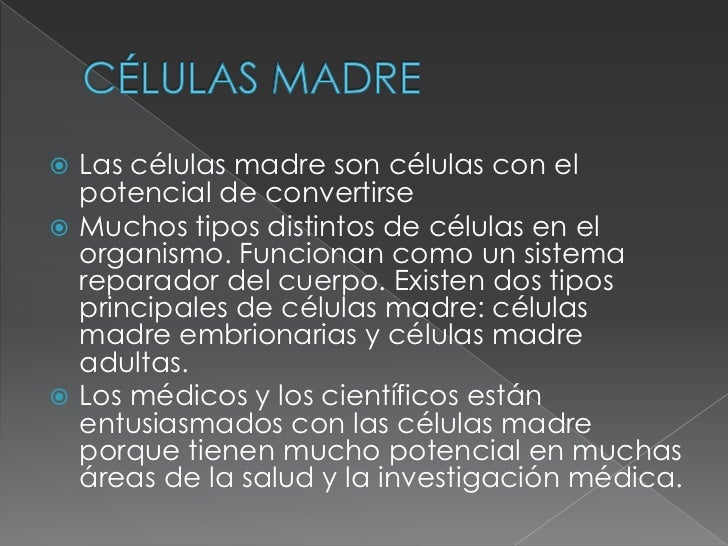 Conclusiones Del Uso De Las Celulas Madres - Compartir Celular