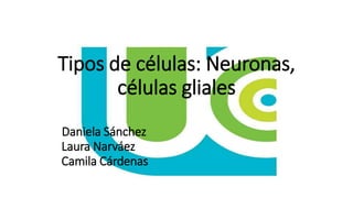 Tipos de células: Neuronas,
células gliales
Daniela Sánchez
Laura Narváez
Camila Cárdenas
 