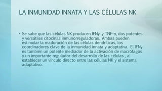 LA INMUNIDAD INNATA Y LAS CÉLULAS NK
• Se sabe que las células NK producen IFNγ y TNF-α, dos potentes
y versátiles citocinas inmunorreguladoras. Ambas pueden
estimular la maduración de las células dendríticas, los
coordinadores clave de la inmunidad innata y adaptativa. El IFNγ
es también un potente mediador de la activación de macrófagos
y un importante regulador del desarrollo de las células , al
establecer un vínculo directo entre las células NK y el sistema
adaptativo.
 