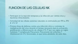 FUNCION DE LAS CELULAS NK
• Participan en la reacción temprana a la infección por ciertos virus y
bacterias intracelulares.
• Actividad de las células asesinas naturales es estimulada por IFN-α, IFN-
β e IL-12
• Primera línea de defensa contra una infección vírica y controlan la
multiplicación del virus durante el tiempo necesario para la activación,
proliferación y diferenciación de células CTL-P (por sus siglas en ingles
Cytotoxic T Lymphocyte Precursors: Precursores de Linfocitos T
Citotóxicos) en CTL funcionales, lo que toma alrededor de siete días.
 