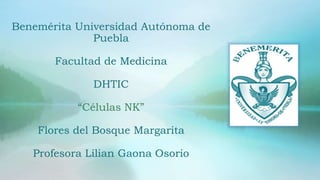 Benemérita Universidad Autónoma de
Puebla
Facultad de Medicina
DHTIC
“Células NK”
Flores del Bosque Margarita
Profesora Lilian Gaona Osorio
 