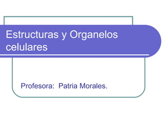 Estructuras y Organelos
celulares
Profesora: Patria Morales.
 