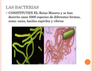 LAS BACTERIAS CONSTITUYEN EL Reino Monera y se han descrito unas 5000 especies de diferentes formas, como: cocos, bacilos espirilos y vibrios 