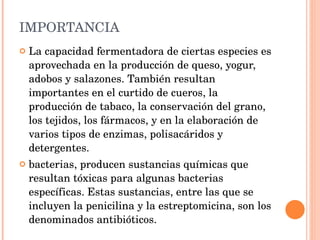 IMPORTANCIA La capacidad fermentadora de ciertas especies es aprovechada en la producción de queso, yogur, adobos y salazones. También resultan importantes en el curtido de cueros, la producción de tabaco, la conservación del grano, los tejidos, los fármacos, y en la elaboración de varios tipos de enzimas, polisacáridos y detergentes.  bacterias, producen sustancias químicas que resultan tóxicas para algunas bacterias específicas. Estas sustancias, entre las que se incluyen la penicilina y la estreptomicina, son los denominados antibióticos.  