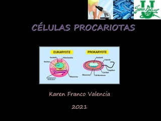 CÉLULAS PROCARIOTAS
Karen Franco Valencia
2021
 