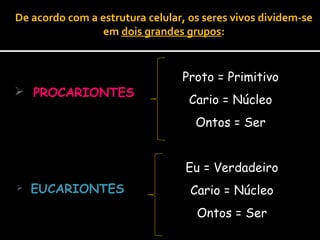 De acordo com a estrutura celular, os seres vivos dividem-se
                 em dois grandes grupos:


                                 Proto = Primitivo
 PROCARIONTES
                                   Cario = Núcleo
                                    Ontos = Ser


                                  Eu = Verdadeiro
   EUCARIONTES                    Cario = Núcleo
                                    Ontos = Ser
 