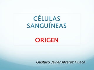CÉLULAS
SANGUÍNEAS
ORIGEN

Gustavo Javier Alvarez Huaca

 