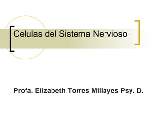 Celulas del Sistema Nervioso




Profa. Elizabeth Torres Millayes Psy. D.
 