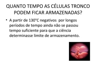 QUANTO TEMPO AS CÉLULAS TRONCO PODEM FICAR ARMAZENADAS? A partir de 130°C negativos  por longos períodos de tempo ainda não se passou tempo suficiente para que a ciência determinasse limite de armazenamento. 