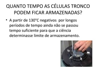 QUANTO TEMPO AS CÉLULAS TRONCO PODEM FICAR ARMAZENADAS? A partir de 130°C negativos  por longos períodos de tempo ainda não se passou tempo suficiente para que a ciência determinasse limite de armazenamento. 