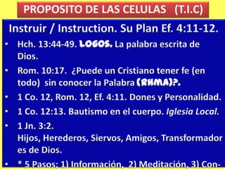  Es emocional y Espiritual.