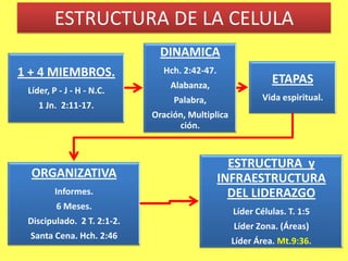 Instituciones.©Ed Silvoso 2007