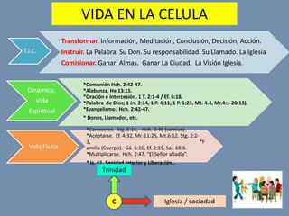Cómocambiar el climaespiritualLa evidencia en el evangelio de Lucasv. 9a …Sanad a los enfermosMinistrar Mi hogar. 