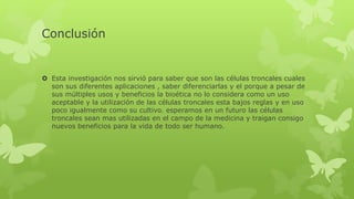 Conclusión
 Esta investigación nos sirvió para saber que son las células troncales cuales
son sus diferentes aplicaciones , saber diferenciarlas y el porque a pesar de
sus múltiples usos y beneficios la bioética no lo considera como un uso
aceptable y la utilización de las células troncales esta bajos reglas y en uso
poco igualmente como su cultivo. esperamos en un futuro las células
troncales sean mas utilizadas en el campo de la medicina y traigan consigo
nuevos beneficios para la vida de todo ser humano.
 