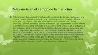 Relevancia en el campo de la medicina
 Relevancia de las células troncales en la medicina. En terapias celulares: una
terapia celular es un tratamiento que reemplaza tejidos disfuncionales o
enfermos con células troncales sin daños ni enfermedad. Las células
troncales también llamadas células madre del tipo totipotentes pueden crecer
y formar un organismo completo o cualquier órgano o tejido. En la actualidad
son utilizadas para el tratamiento de algunos tipos de cáncer aunque su uso
es muy poco aun. También es un poco usado en la piel en el área medica
ayuda a la renovación de la piel en quemaduras y ayuda al rejuvenecimiento
de la piel. También son utilizadas para tratar enfermedades cardiovasculares.
Algunas enfermedades en las que las células troncales puedan ayudar a
tratar algún día incluyen la enfermedad de Alzheimer y Parkinson, así como
aquellas enfermedades que afectan a la retina y el corazón.
 